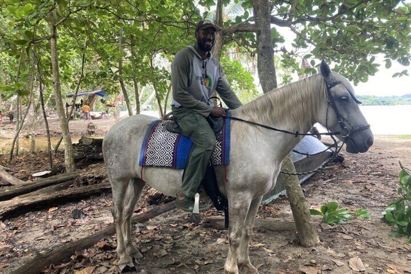 2 Hour Private Beach Horse Back Riding in Puerto Viejo