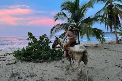 2 Hour Private Beach Horse Back Riding in Puerto Viejo