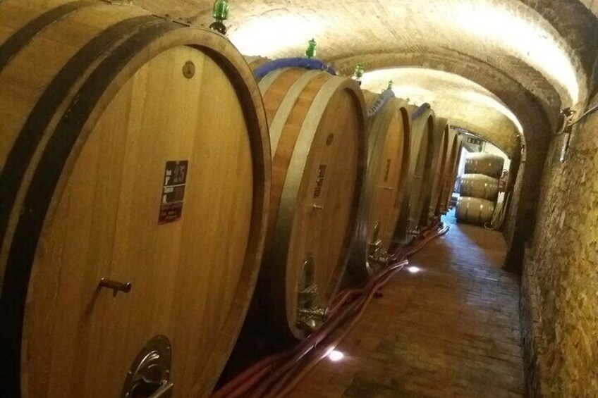 Chianti Wine Tasting Private Tour in Tuscany