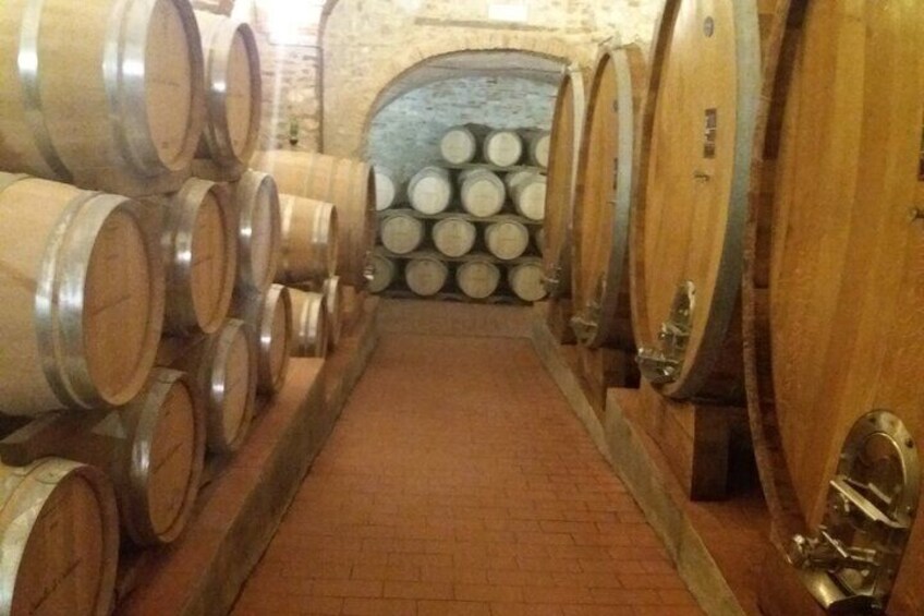 Chianti Wine Tasting Private Tour in Tuscany