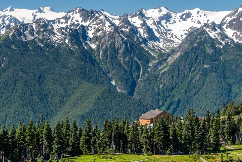 Seattle And Olympic NP Self-Guided walking and driving Audio Bundle Tour
