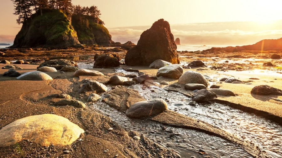 Seattle And Olympic NP Self-Guided walking and driving Audio Bundle Tour