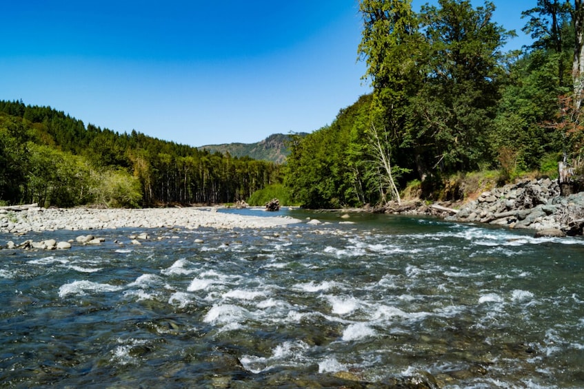 Seattle And Olympic NP Self-Guided walking and driving Audio Bundle Tour