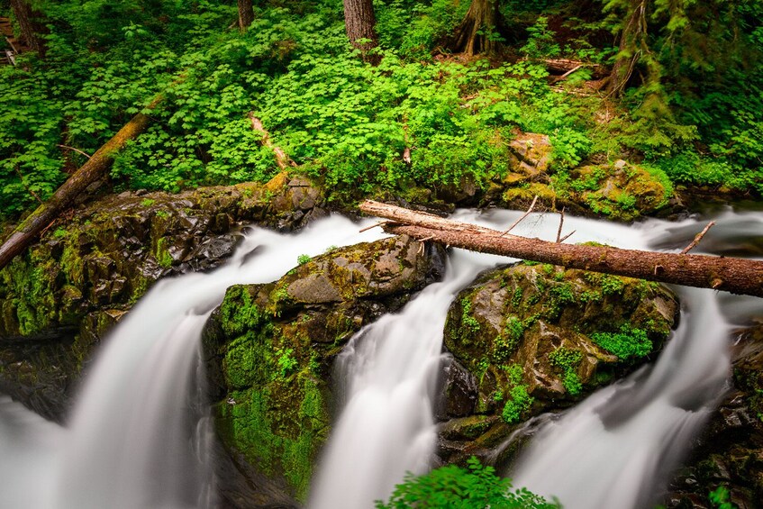 Seattle And Olympic NP Self-Guided walking and driving Audio Bundle Tour