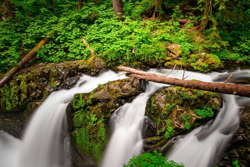 Seattle And Olympic NP Self-Guided walking and driving Audio Bundle Tour