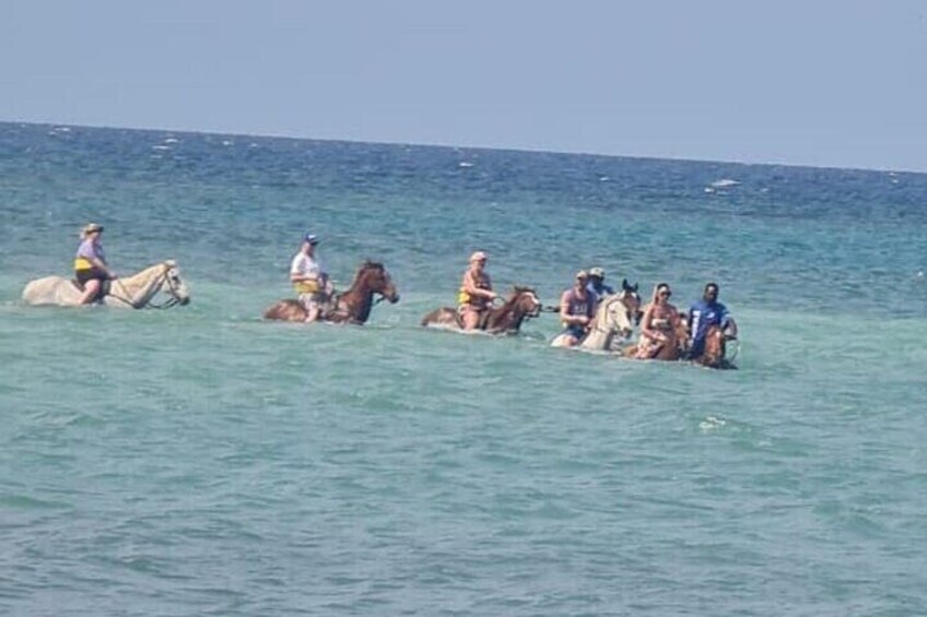 Horseback Riding and ATV with Private Round Trip Transportation