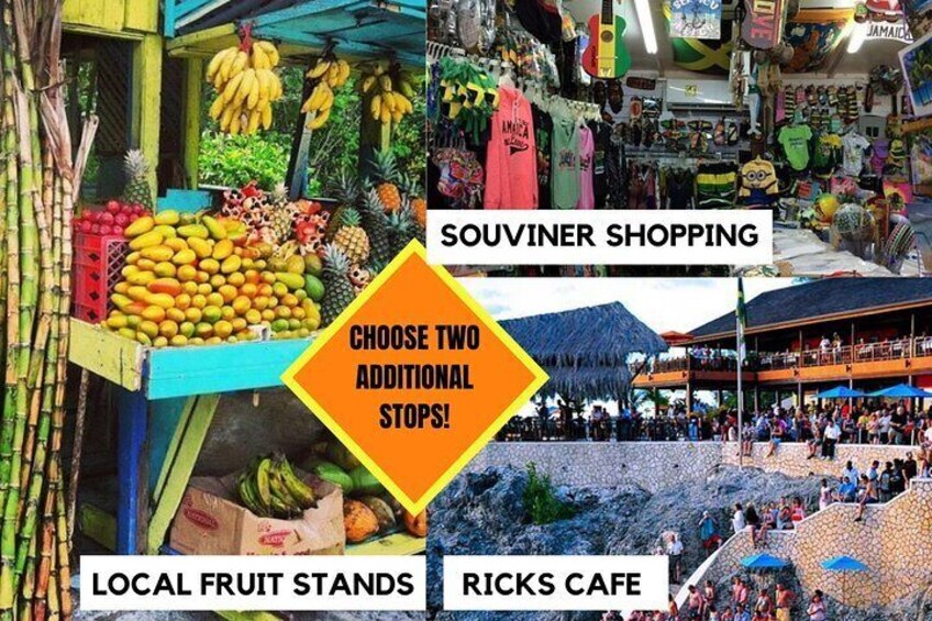 Horseback Riding & ATV-Private Transport & Extra Stops Ricks Café