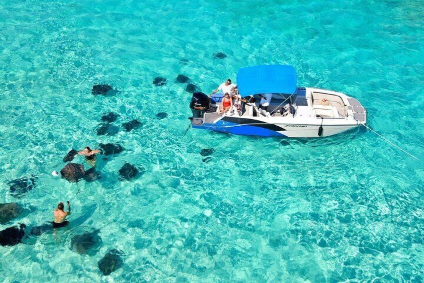 Sunrise Stingray Private City Tour