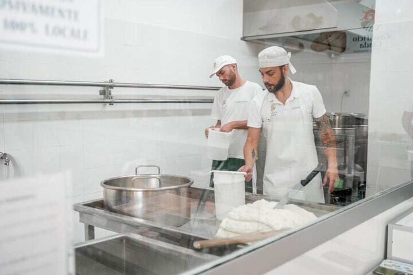 Mozzarella Live Show & Tasting in a Cheese Factory