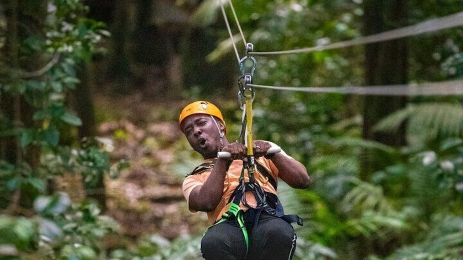 Half-Day Hiking with Aerial Tram Zipline in St Lucia