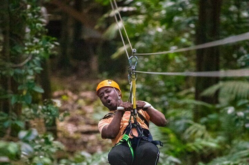 Half-Day Hiking with Aerial Tram Zipline in St Lucia