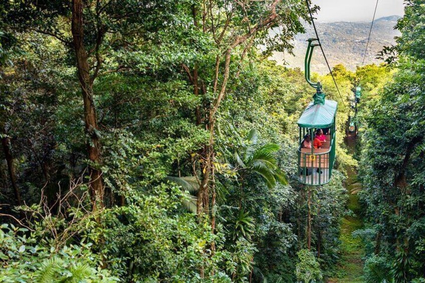 Half-Day Hiking with Aerial Tram Zipline in St Lucia