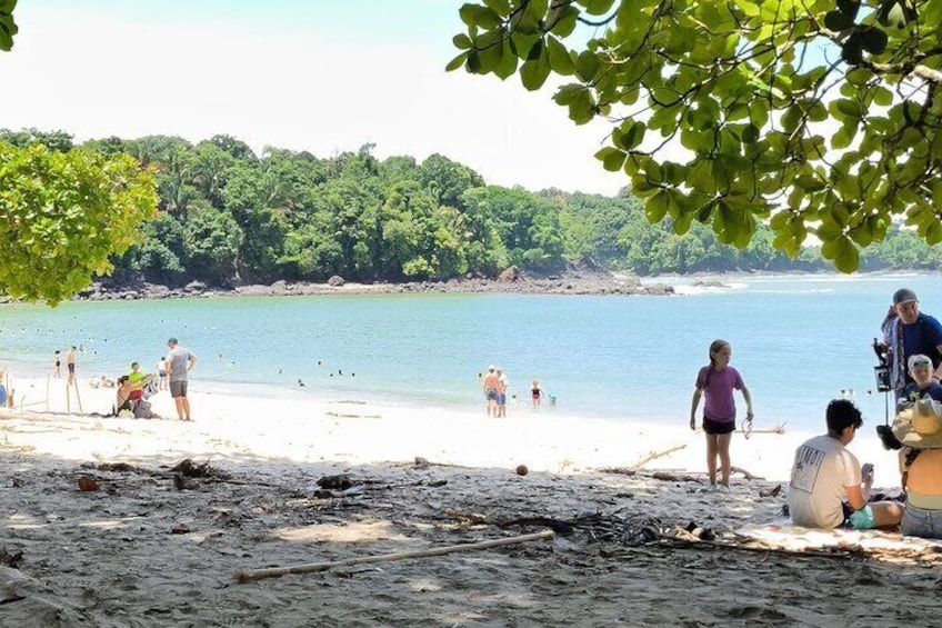 2-3-Hour Manuel Antonio Park Nature Guided Tour