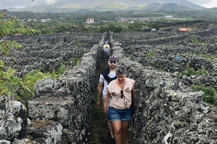 Pico Girl Power Wine Tour in the Azores Islands