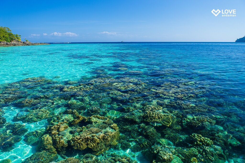 Day Trip Surin - NO TRANSFER