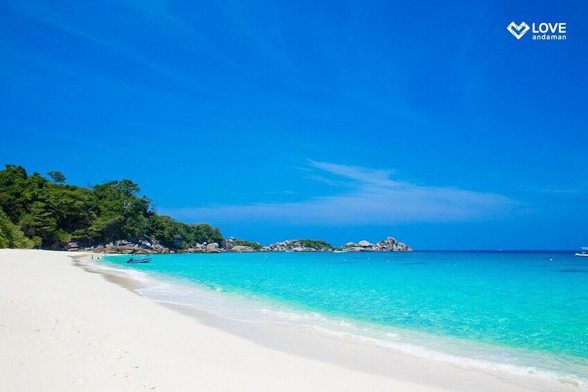 Day Trip Similan - INCLUDE SHARE TRANSFER