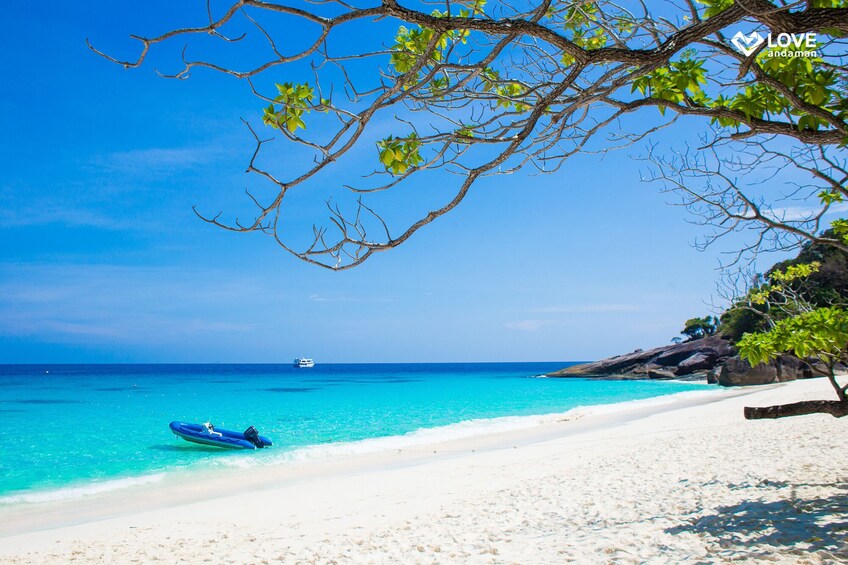 Day Trip Similan - INCLUDE SHARE TRANSFER