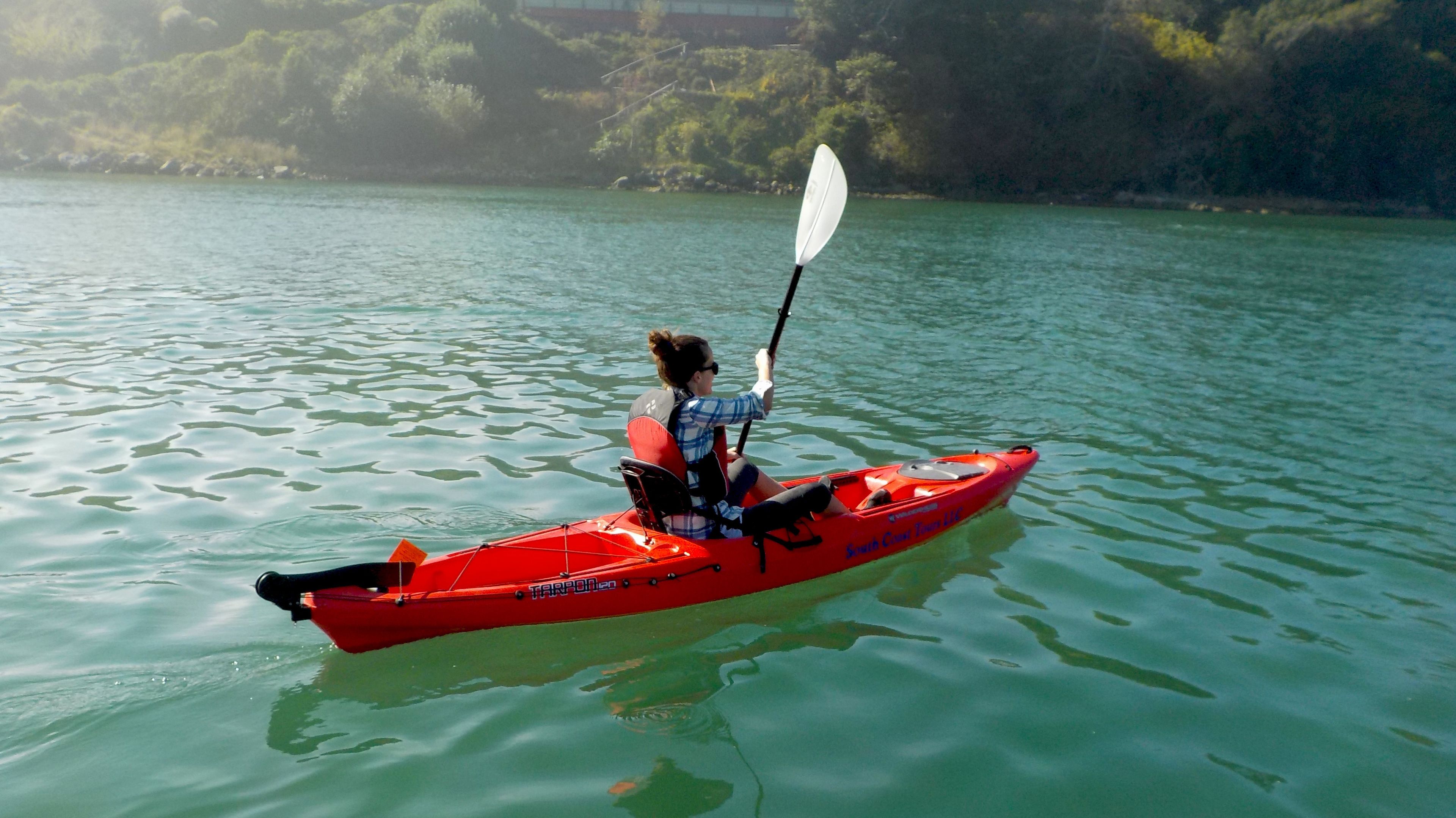 Chetco River Wildlife Viewing Kayak or SUP Tour