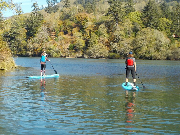 Chetco River Wildlife Viewing Kayak or SUP Tour