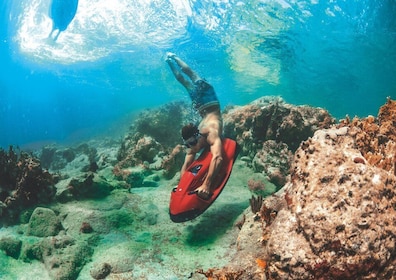 Fort Lauderdale: Ultimate SEABOB Snorkel Rental & Excursion