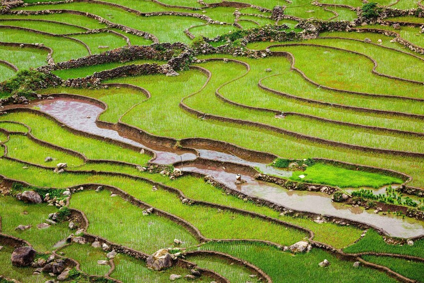 Picture 1 for Activity Muong Hoa Valley 2-Day Group Trek with Homestay