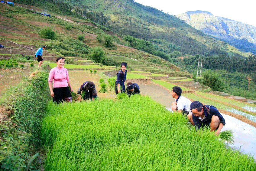 Picture 5 for Activity Muong Hoa Valley 2-Day Group Trek with Homestay