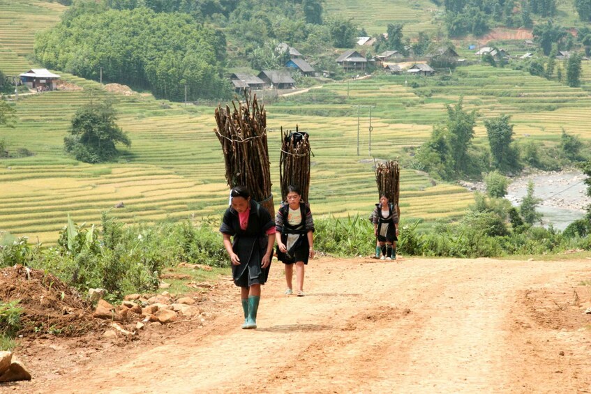 Picture 6 for Activity Muong Hoa Valley 2-Day Group Trek with Homestay