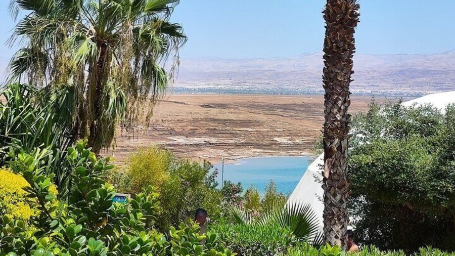 Full Day Private Tour by Car in Jericho and Dead Sea