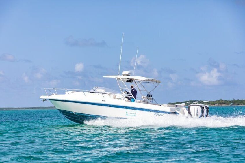 Half Day Harbour Island Bahamas Private Boat Tour