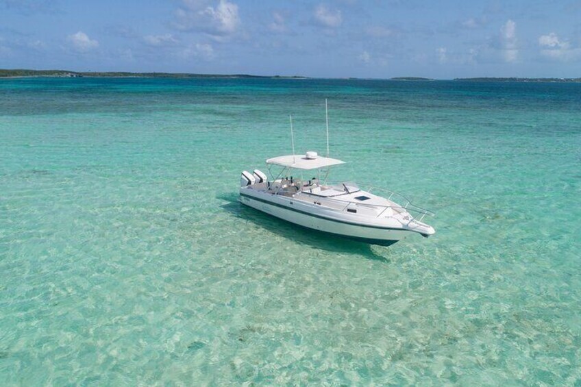 Full Day Harbour Island Bahamas Private Boat Tour