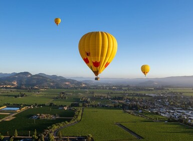 Van Yountville: Napa Valley Sunrise-luchtballonvlucht