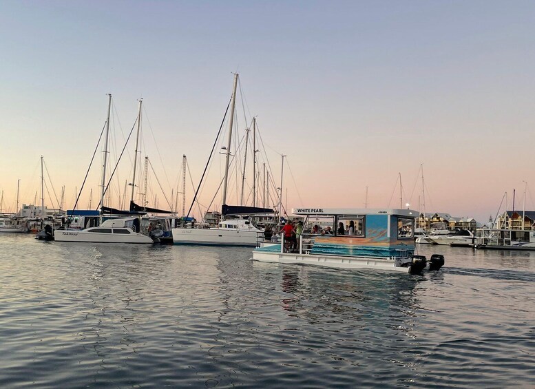 Picture 9 for Activity Mandurah: Sunset Cruise