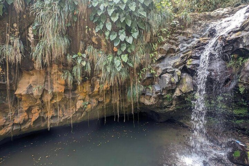 Annandale waterfalls