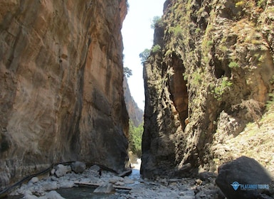 Creta: Trekking privato guidato alle Gole di Samaria con trasferimento