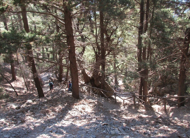 Picture 11 for Activity Crete: Private Guided Trek to Samaria Gorge with Transfer