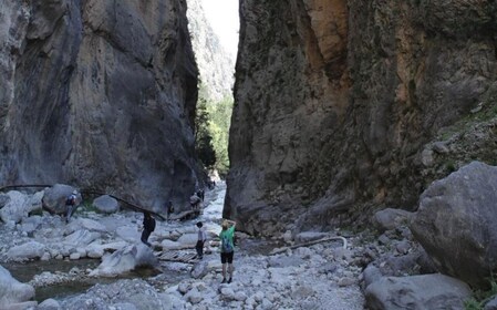 克里特島：帶接送服務的私人導遊徒步前往撒馬利亞峽谷