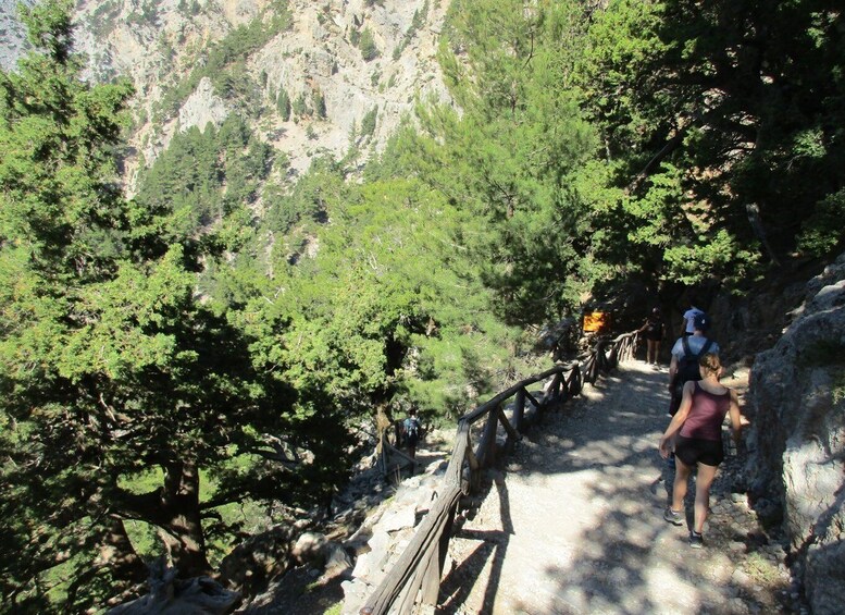 Picture 9 for Activity Crete: Private Guided Trek to Samaria Gorge with Transfer