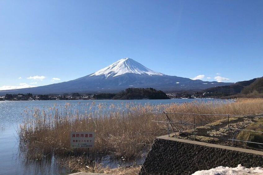 Mt Fuji Day Tour with Kawaguchiko Lake
