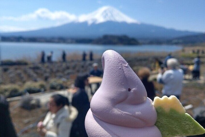 Mt Fuji Day Tour with Kawaguchiko Lake
