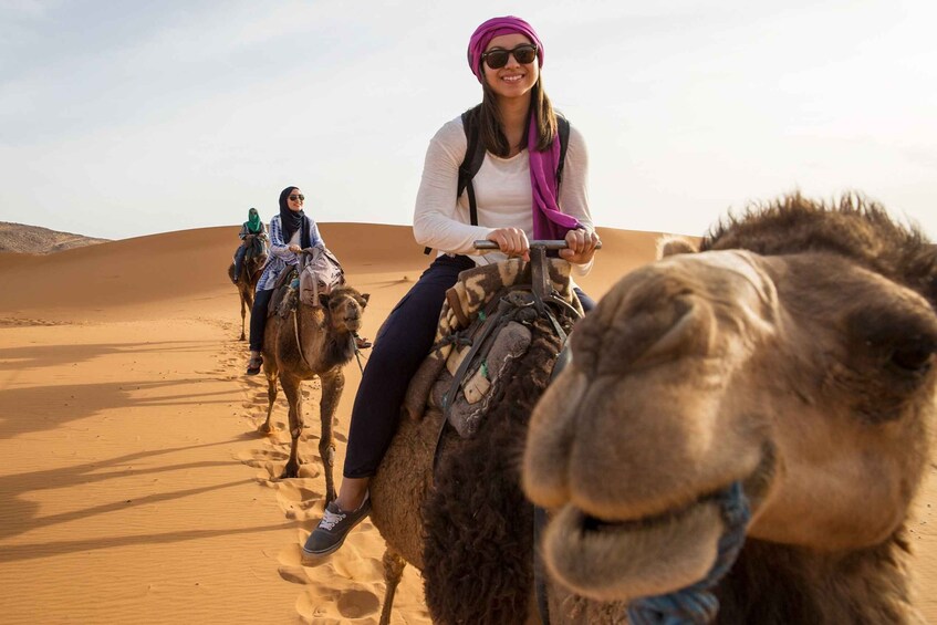 Picture 6 for Activity Agadir: Camel Riding Adventure with Authentic Moroccan Lunch