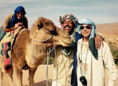 Agadir : Aventure à dos de chameau avec déjeuner marocain authentique