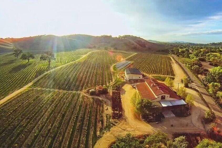 30 Minutes Private Flight Experience Over Paso Robles by Plane