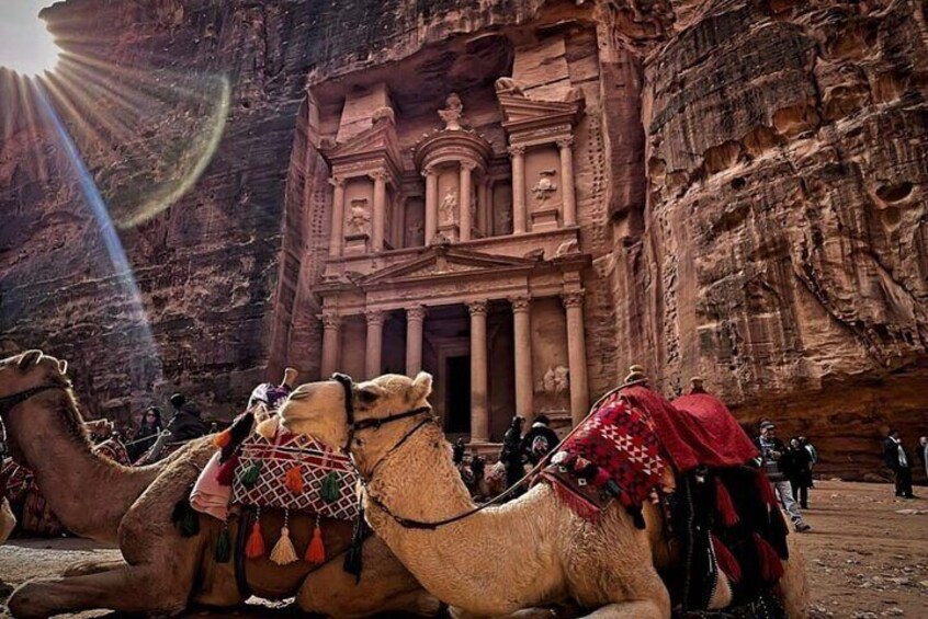  Petra Full Day Tour From Amman