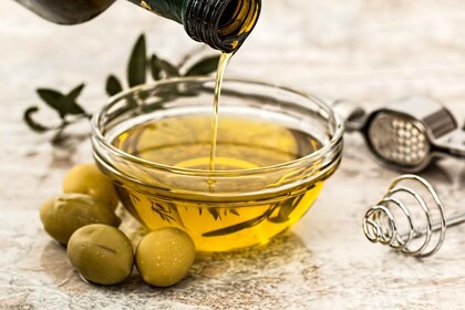 Cadix : dégustation d'huile d'olive à la campagne
