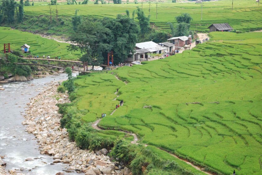 Picture 9 for Activity Sapa: 1-Day Trek through Muong Hoa Valley & Villages