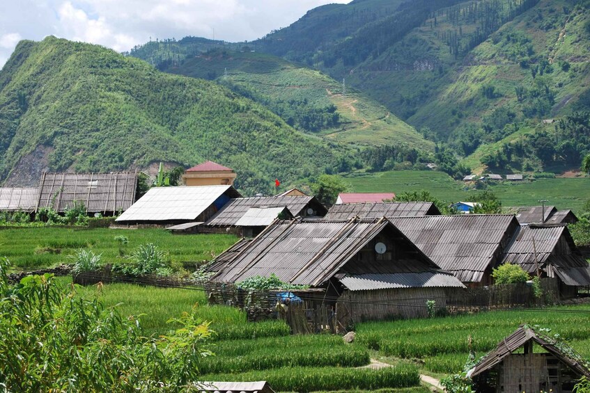 Picture 6 for Activity Sapa: 1-Day Trek through Muong Hoa Valley & Villages