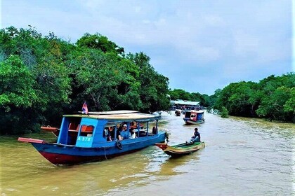 Floating Village-Mangroves Forest Private Tonle Sap Cruise Tour