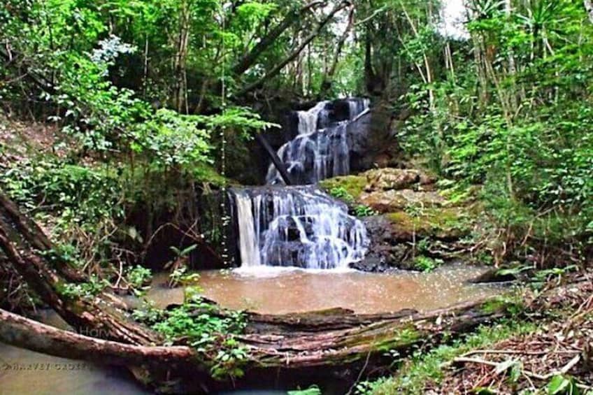 Karura Forest Hiking and Bike Tour