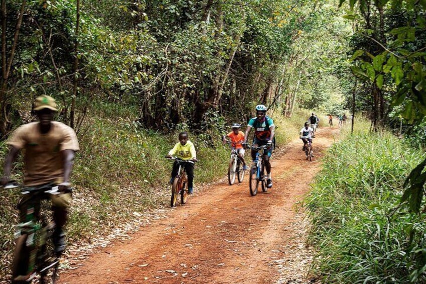 Karura Forest Hiking and Bike Tour