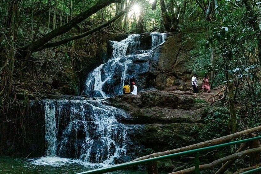 Karura Forest Hiking and Bike Tour